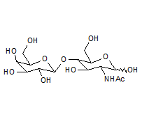 77304-67-7, Acetyl-D-lactosamine , Cas:77304-67-7