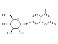 38596-12-5, 4-甲基伞形酮-a-D-葡萄糖苷,4-MU-alpha-D-glucoside, CAS:38596-12-5