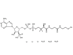 72-89-9 , Acetyl coenzyme A trilithium salt trihydrate;Acetyl CoALi3 . 3H2O
