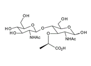 67068-85-3 , 2-Acetamido-4-O-(2-acetamido-2-deoxy-b-D-glucopyranosyl)-2-deoxy-D-muramic acid