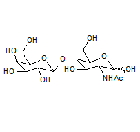 32181-59-2, Acetyl-D-lactosamine ,cas:32181-59-2