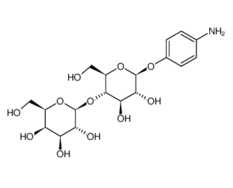 17691-02-0, 4-Aminophenyl b-D-lactopyranoside, CAS:17691-02-0