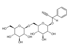 29883-15-6, D-(-)-Amygdalin, CAS:29883-15-6