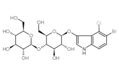177966-52-8, 5-溴-4-氯-3-吲哚-beta-纤维二糖苷, CAS:177966-52-8