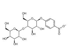 4419-94-7, 4-Nitrophenyl beta-D-lactopyranoside, CAS: 4419-94-7