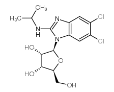 176161-24-3 , Maribavir, CAS:176161-24-3