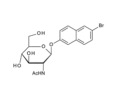212069-27-7,  6-Bromo-2-naphthyl 2-acetamido-2-deoxy-b-D-glucopyranoside 6-Bromo-2-naphthyl N-acetyl-a-D-glucosaminide