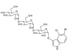341972-94-9 ,  5-Bromo-4-chloro-3-indolyl a-D-maltotrioside ,  X-a-D-Maltotriose