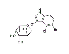 171869-92-4 ,  5-Bromo-4-chloro-3-indolyl a-L-fucopyranoside ,X-a-L-Fucoside