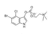439809-43-5 , 5-Bromo-4-chloro-3-indoxyl choline phosphate,X-Phos-choline