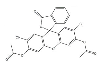 2044-85-1; 2',7'-Dichlorofluorescein diacetate; H2DCFDA; MFCD 37501; DCDHF DIACETATE; DIACETYLDICHLOROFLUORESCIN