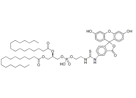 87706-98-7 ,  Fluorescein-dipalmitoylphosphatidylethanolamine triethylammonium salt ;Fluorescein-DHPE