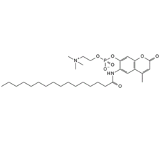 904315-61-3,NPAB, 6-Hexadecanoylamino-4-methylumbelliferyl phosphorylcholine