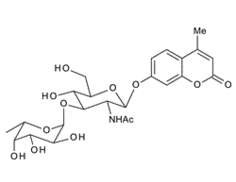 383160-12-1, Fuc-a-1,3-GlcNAc-b-4MU; 4-Methylumbelliferyl 2-acetamido-2-deoxy-3-O-(a-L-fucopyranosyl)-b-D-glucopyranoside