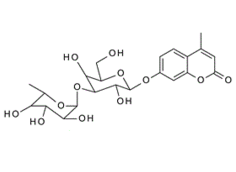 296776-06-2 , Fuc-a-1-3-Gal-b-4-MU; 4-Methylumbelliferyl 3-O-(a-L-fucopyranosyl)-b-D-galactopyranoside