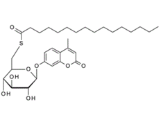 229644-17-1 , Mu-6S-Palm-b-Glc; INCL; 4-Methylumbelliferyl 6-thio-palmitate-b-D-glucopyranoside