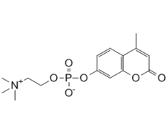 97055-84-0 , 4-Methylumbelliferyl cholin phosphate; 4-Methylumbelliferyl phosphocholine