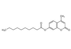 66185-70-4 ,4-甲基伞形基癸酸酯, 4-Methylumbelliferyl decanoate; Decanoic acid 4-methyl-2-oxo-2H-1-benzopyran-7-yl ester