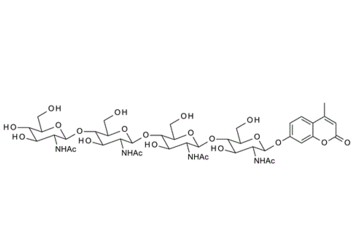 53643-14-4,GlcNAc1-b-4GlcNAc1-b-4GlcNAc1-b-4GlcNAc1-b-4MU; 4-Methylumbelliferyl N,N',N'',N'''-tetraacetyl-b-D-chitotetraoside