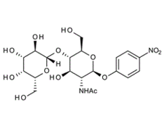 74211-28-2 , 4-Nitrophenyl 2-acetamido-2-deoxy-4-O-(b-D-galactopyranosyl)-b-D-glucopyranoside; PNP-LacNAc