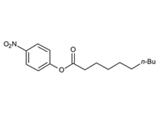 1956-09-8 , 4-Nitrophenyl decanoate ; Decanoic acid 4-nitrophenyl ester; 4-Nitrophenyl caprate