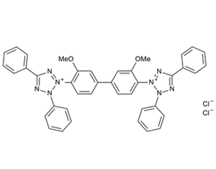 1871-22-3 , Tetrazolium blue chloride ; 3,3'-(3,3'-Dimethoxy[1,1'-biphenyl]-4,4'-diyl)-bis(2,5-diphenyl-2H-tetrazolium) dichloride; 3,3'-Dianisole-4,4'-bis(3,5-diphenyltetrazolium chloride); Blue tetr