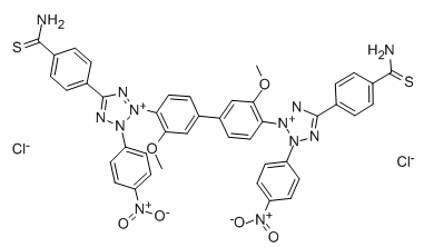 36889-43-7 , Thiocarbamyl nitro blue tetrazolium ; 2,2'-Di(p-nitrophenyl)-5,5'-di(p-thiocarbamylphenyl)-3,3'-(3,3'-dimethoxy-4,4'-biphenylene)ditetrazolium chloride; TC-NBT