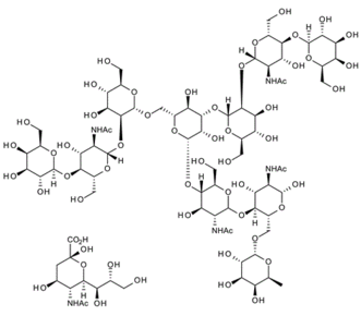 571188-30-2 , A1F N-Glycan ; FA2G2S1 Glycan