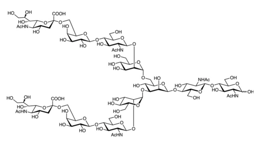 1125602-44-9 , A2 N-Glycan ; A2G2S2 N-glycan