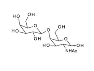 82535-18-0 , 	Galb1-4GalNAc ; 2-Acetamido-2-deoxy-4-O-(b-D-galactopyranosyl)-D-galactopyranose
