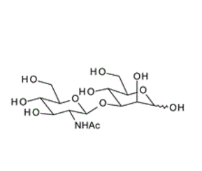 210036-24-1 , GlcNAc-b-1,3-Man ; 3-O-(2-Acetamido-2-deoxy-b-D-glucopyranosyl)-D-mannopyranose