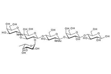 30461-82-6 , GalNAca-3(fuca-2)Galb-4GlcNAcb-3Galb-4Glc; A antigen hexaose type 2 ; Blood group A hexasaccharide type II