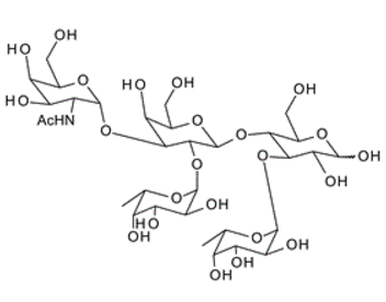 50624-46-9 , GalNAca1-3(Fuca1-2)Galb1-4(Fuca1-3)Glc ; Blood Group A pentasaccharide