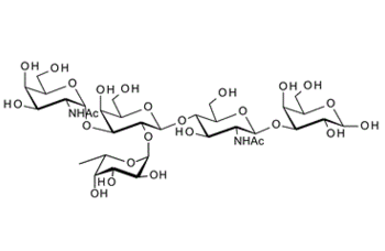 1352644-11-1 , GalNAca-3(Fuca-2)Galb-4GlcNAcb-3Gal; A antigen pentaose type II ; Blood group A pentasaccharide type II