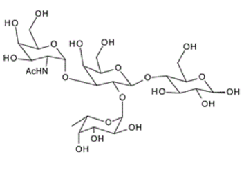 59957-92-5 , GalNAca1-3(Fuca1-2)Galb1-4Glc ; Blood Group A tetrasaccharide type V
