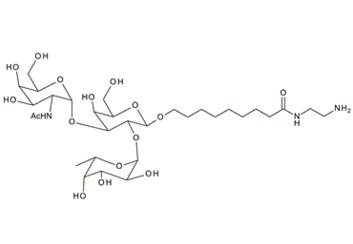 170298-33-6 , GalNAc-a-1,3-(Fuc-a-1,2)Gal-b1-O-(CH2)8CONH(CH2)2NH2; Blood Group A trisaccharide amine derivative