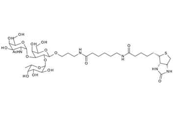 870891-83-1 , Fuc-(a1,2)-[GalNAc-(a1,3)]-b-Gal-O(CH2)3NHCO(CH2)5NH-biotin ; Blood Group A trisaccharide, spacer-biotin conjugate