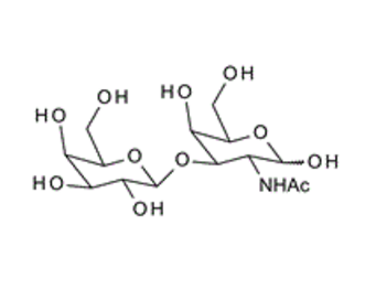 20972-29-6 , Galacto-N-biose,Gal-b1,3-GalNAc