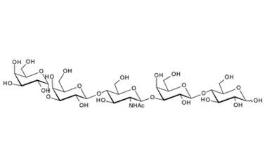 177331-58-7 , Gala1-3Galb1-4GlcNAcb1-3Galb1-4Glc , a-Gal epitope type III