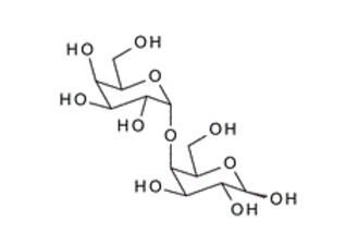 80446-85-1 , Gala1,4Gal; a1-4Galactobiose , 4-O-(a-D-Galactopyranosyl)-D-galactopyranose