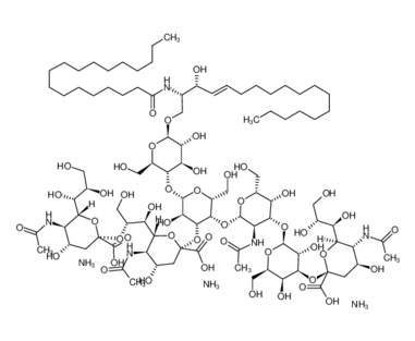 59247-13-1 , GT1b-Ganglioside ammonium ,Trisialoganglioside-GT1b