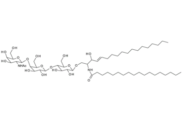 35960-33-9 , GA2-Ganglioside ,  Asialoganglioside-GM2;  Gangliotriosyl ceramide; GgOse3Cer