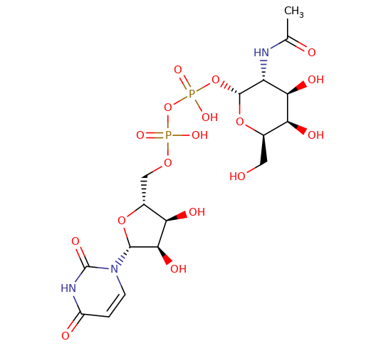 108320-87-2,UDP-GalNAc disodium salt,尿苷-5'-二磷酸-N-乙酰基氨基半乳糖二钠盐,CAS:108320-87-2