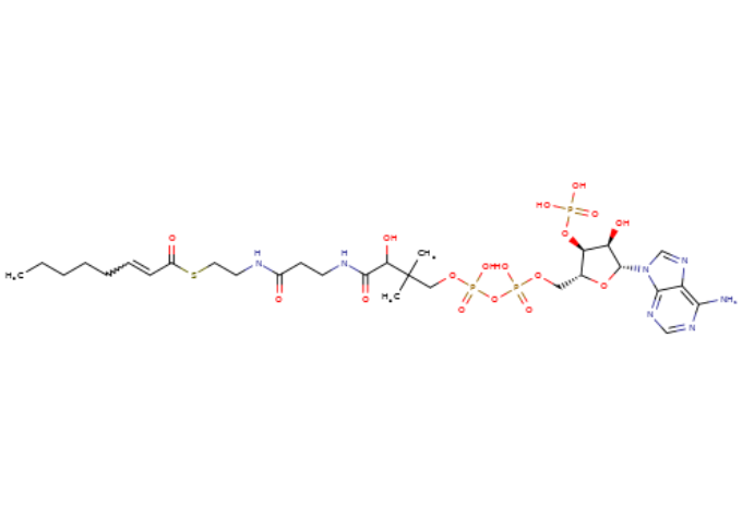 10018-94-7 , S-(2E)-2-Octenoate coenzyme A