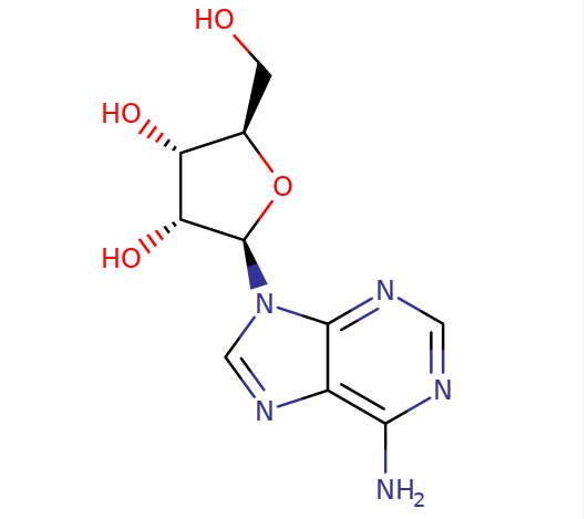 58-61-7, Adenosine, 腺苷, CAS:58-61-7